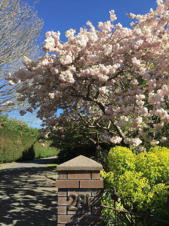 Rhododendron Garden Hotel Christchurch Esterno foto