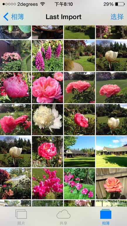 Rhododendron Garden Hotel Christchurch Esterno foto