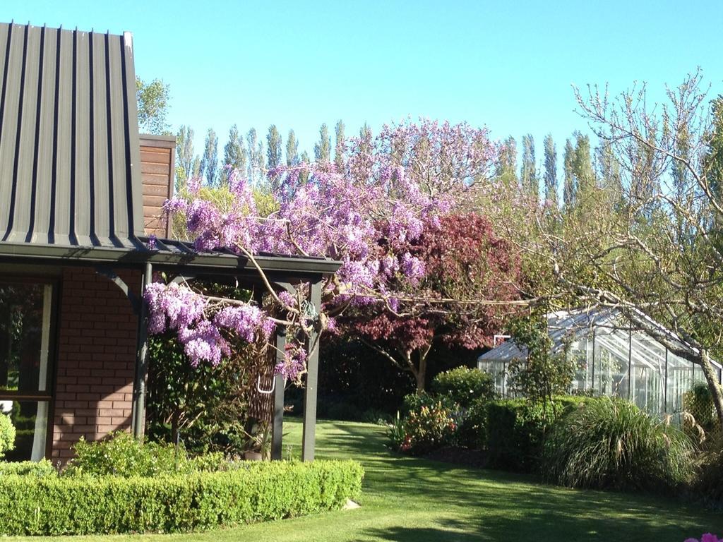 Rhododendron Garden Hotel Christchurch Camera foto