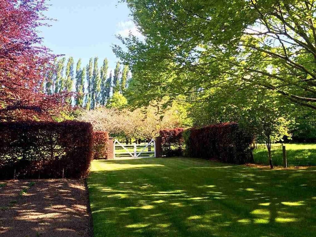 Rhododendron Garden Hotel Christchurch Camera foto